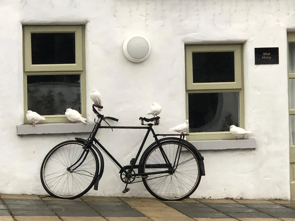Bed & Breakfast The Carriage Houses At Beechpark House Bunratty