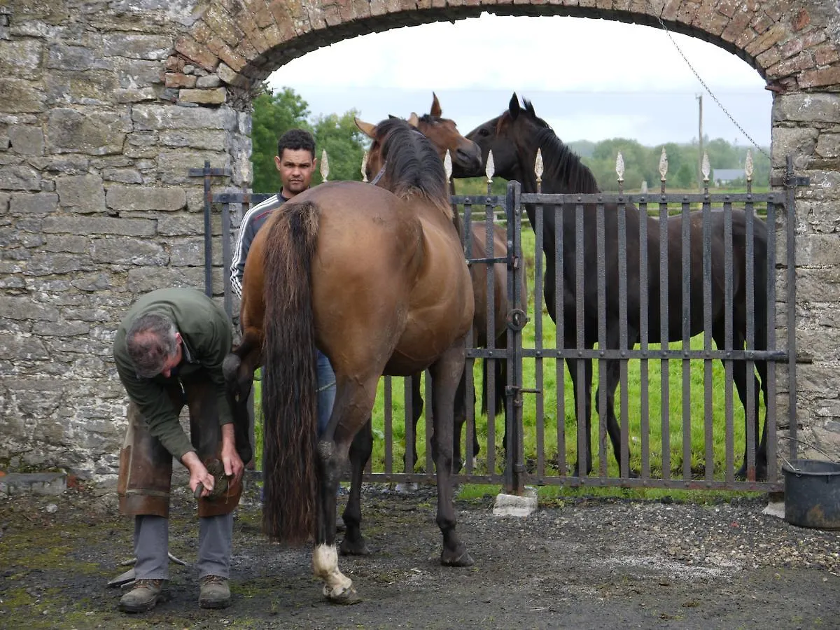 Bed & Breakfast The Carriage Houses At Beechpark House Bunratty Ireland